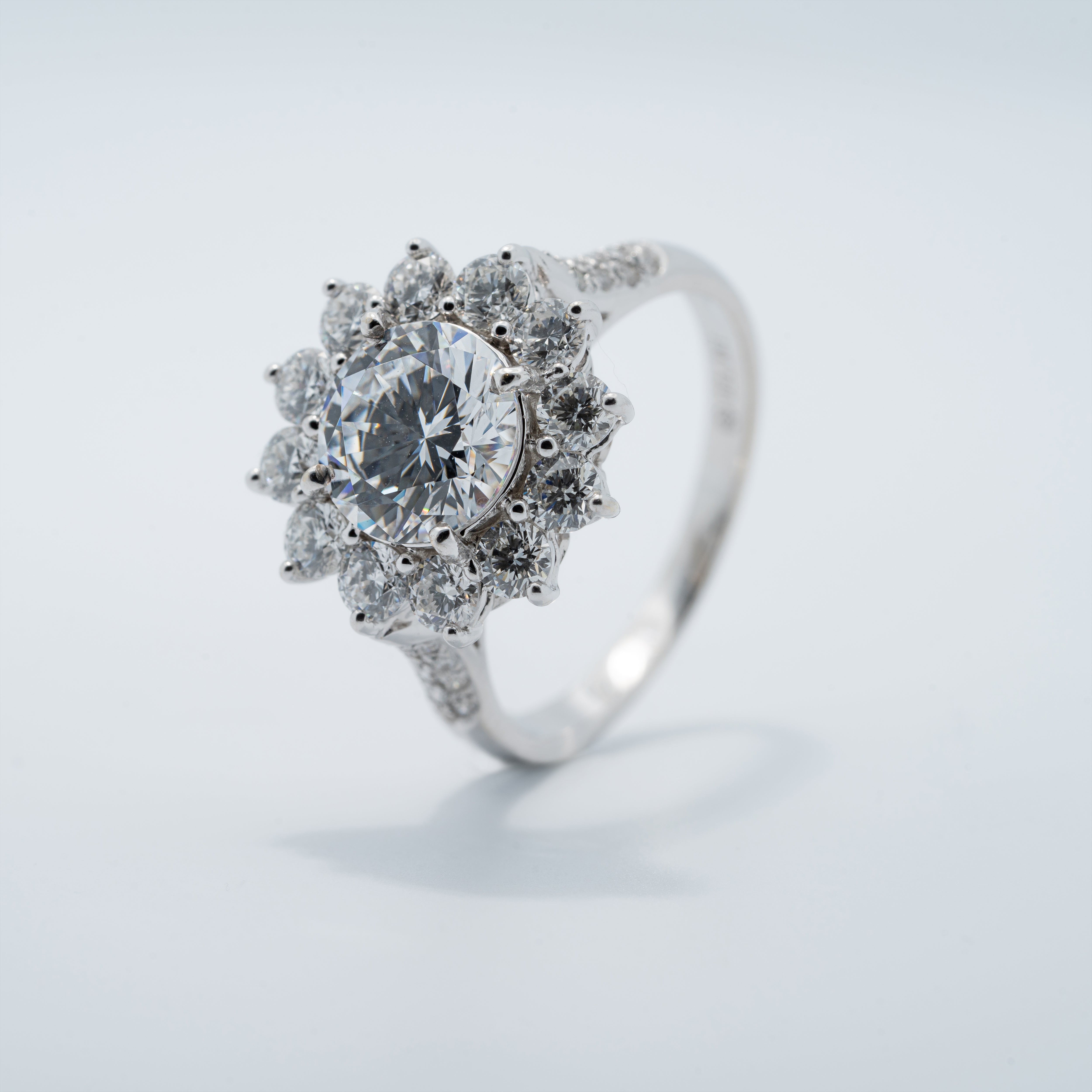Naturel Inspired Halo With Pavé Band Engagement Ring