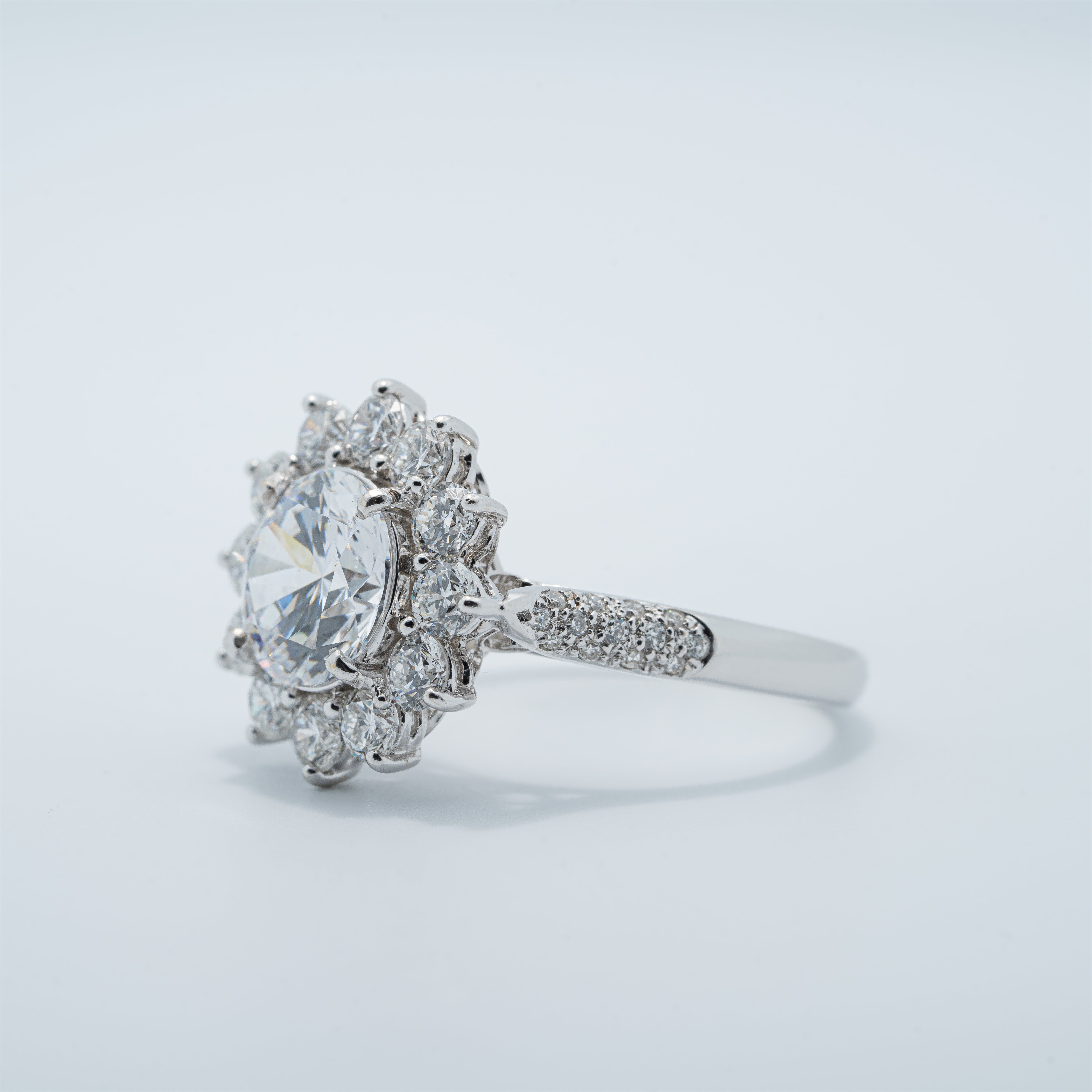 Naturel Inspired Halo With Pavé Band Engagement Ring