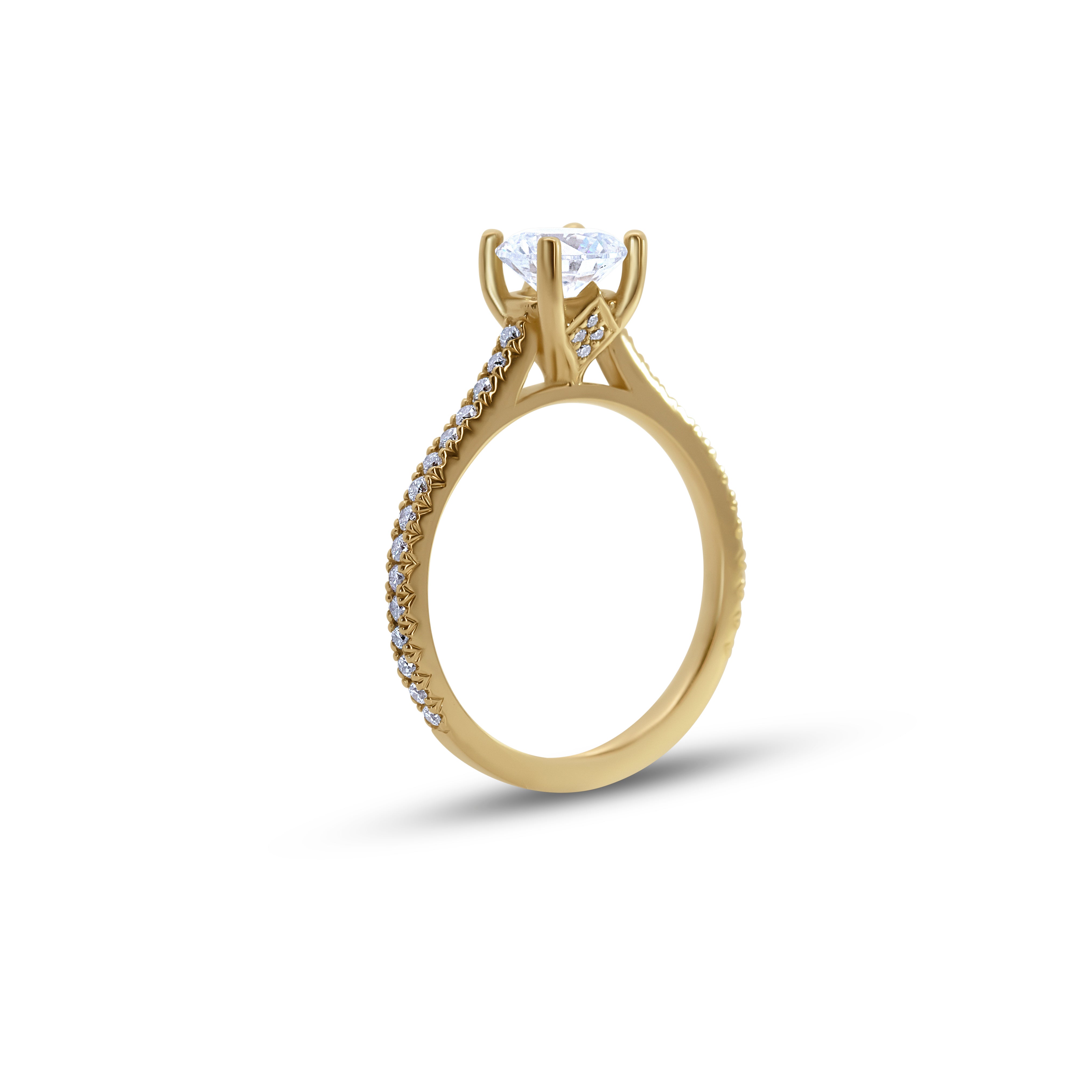 Cathedral Engagement Ring