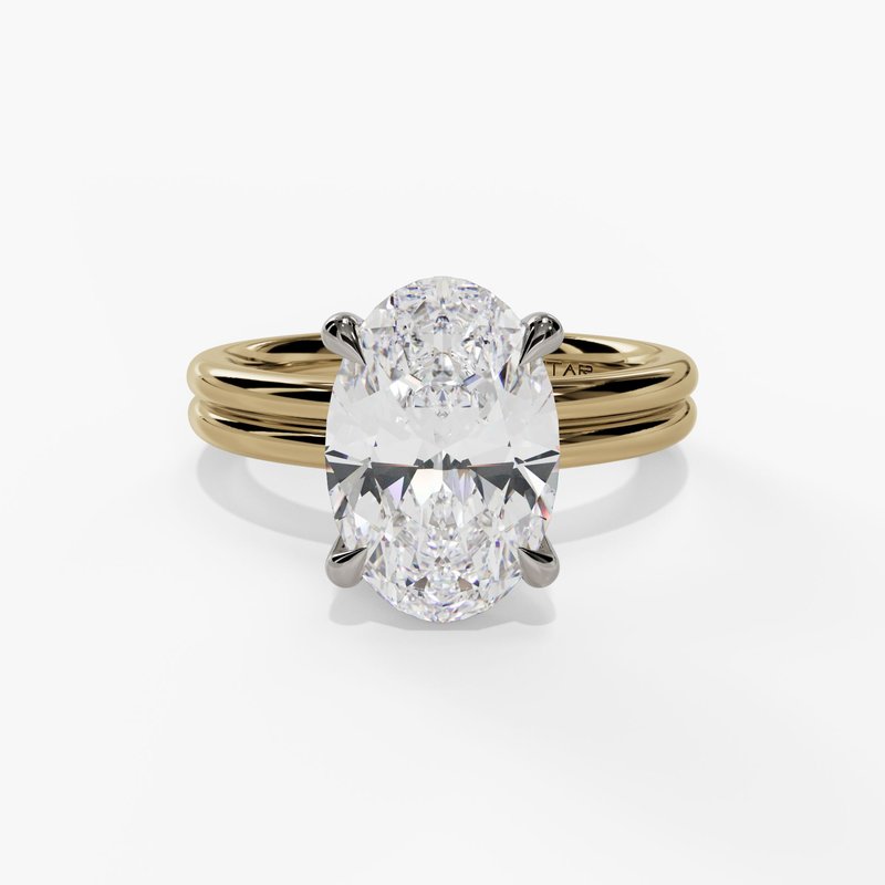 Oval Hidden Halo Double Shank Solitaire Engagement Ring