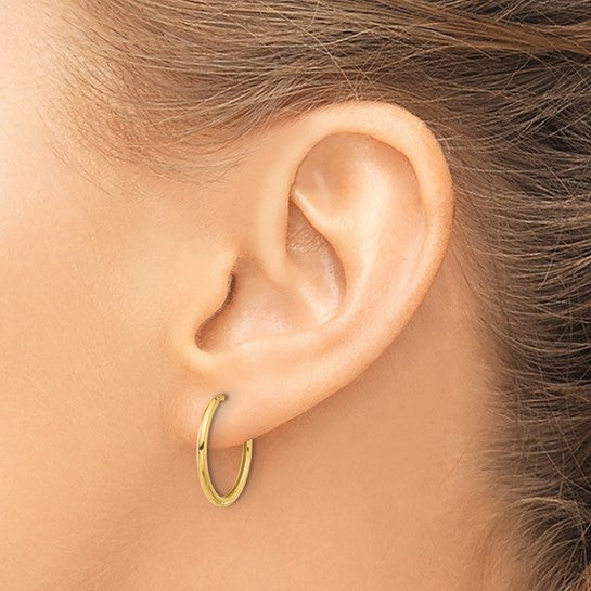 Classic Hinged Hoop Earrings