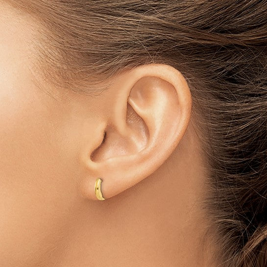 Classic Hinged Hoop Earrings