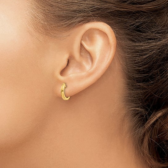 Classic Hinged Hoop Earrings
