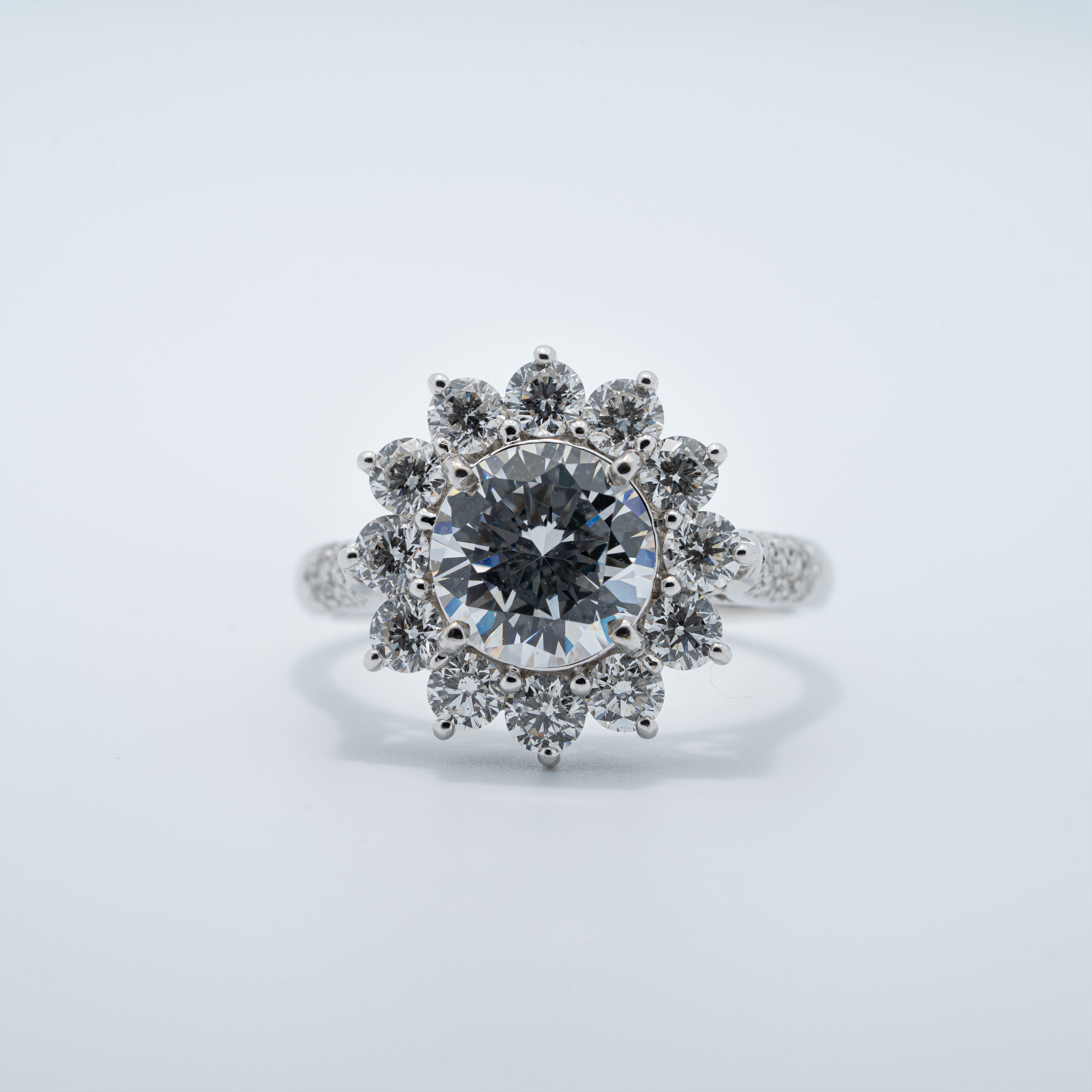 Naturel Inspired Halo With Pavé Band Engagement Ring
