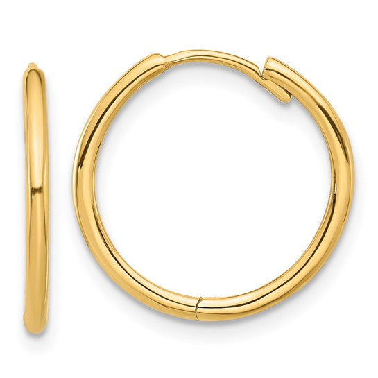 Classic Hinged Hoop Earrings