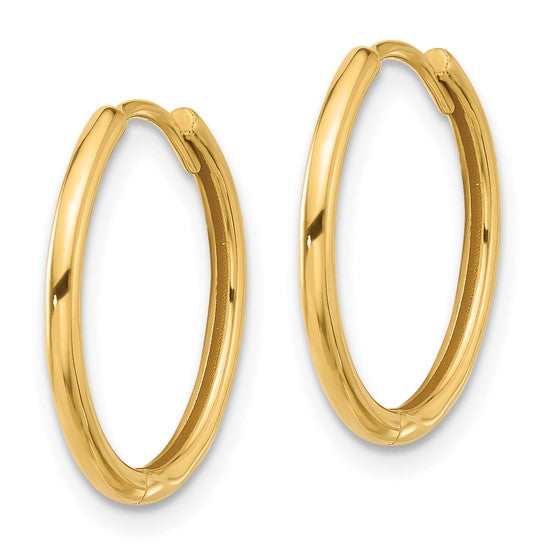 Classic Hinged Hoop Earrings