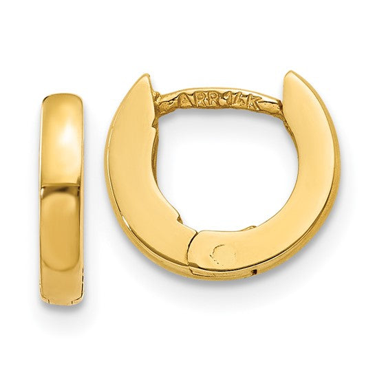 Classic Hinged Hoop Earrings