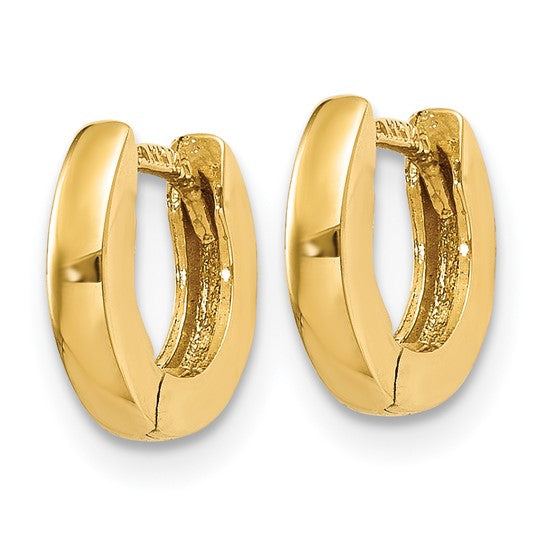 Classic Hinged Hoop Earrings
